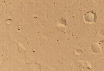 Rough, textured sandstone surface, natural earth tones, varying grain,  earth,  formation