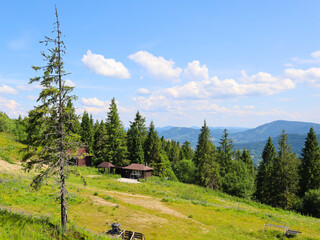 A panoramic view of a mountain slope with a dense forest, where small wooden houses stand, creating an atmosphere of calm recreation in nature.