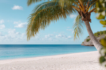 Tropical background with palm tree and ocean for advertising. Summer background for advertising. Traveling.
