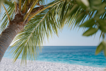 Tropical background with palm tree and ocean for advertising. Summer background for advertising. Traveling.