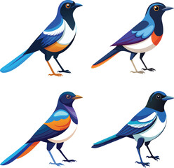 Simple Black and White Illustration of an Oriental MagpieRobin Bird Posing Sideways
