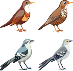 Simple Black and White Illustration of an Oriental MagpieRobin Bird Posing Sideways
