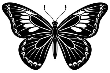 Vector art of silhouette of  butterfly 