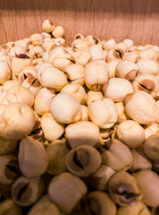 Dried Lotus Seeds in Natural Wood Grocery Tray, Chinese Herbal Soup Material