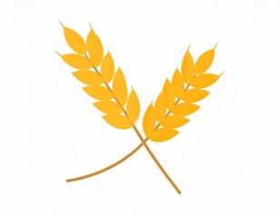 Two ears of wheat isolated on white. Vector illustration