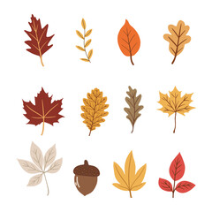 Fototapeta premium autumn leaves element vector set