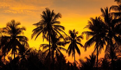 Silhouetted palm trees at golden sunset