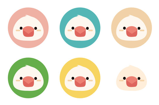 白文鳥の可愛いアイコンセット/Cute White Java Sparrow Icon Set