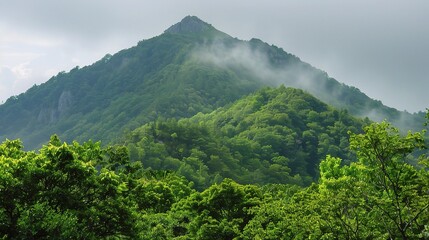 Scenic view of Wanke Mountain, a charming mountain in Anhui, China, featuring rolling green peaks, dense pine forests, winding streams, ancient stone bridges, mist-covered valleys