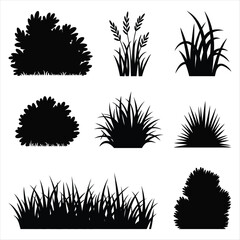 Black Silhouettes of Various Grasses and Bushes on White Background