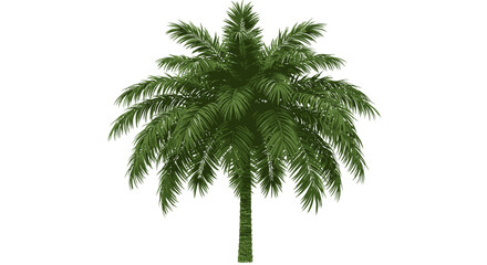 A detailed digital rendering of a palm tree. The tree has a straight textured trunk, and a full canopy of vibrant green leaves.