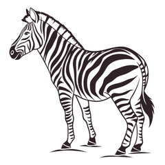 Fototapeta premium zebra vector illustration