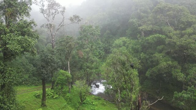 Drone View of 900 Kandi Forest, Wayanad Kerala