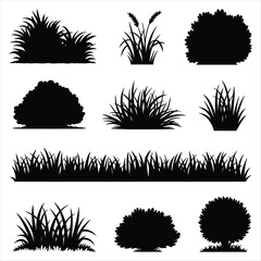 Black Silhouettes of Various Grass and Bush Elements on White Background