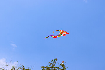 Colorful Kite Soaring in the Sky

