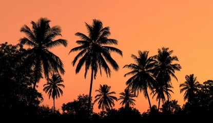 Obraz premium Silhouetted palm trees against a vibrant sunset