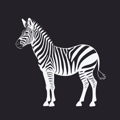 Obraz premium zebra vector illustration
