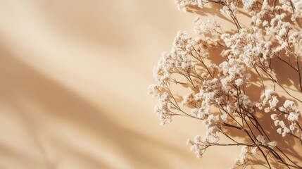Naklejka premium Neutral tan color background with clean aesthetic