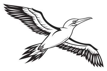 black and white bird