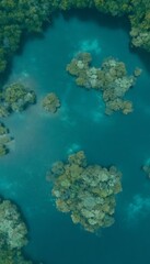 Obraz premium Aerial view of lake with islands