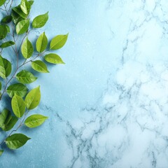 Fresh green leaves on light blue marble