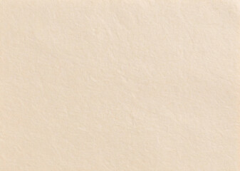 Fototapeta premium ベージュの和紙のテクスチャ/ Beige washi paper texture