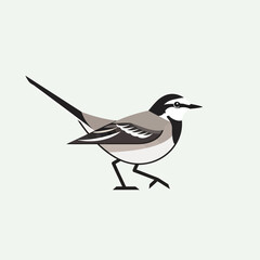 Obraz premium Stylized illustration of a bird with gray and black plumage walking.