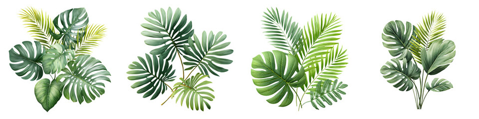 Tropical Green Leaves Arrangement. Watercolor Foliage Isolated on White.