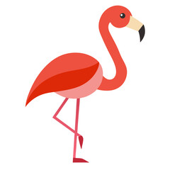 Modern Flamingo Bird Vector Style on White
