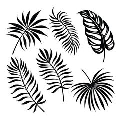 Obraz premium Assorted palm leaves silhouette showcase tropical flora in a bold, modern monochrome presentation