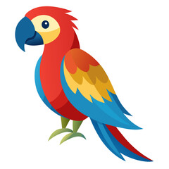 Modern Macaw Bird Vector Style on White