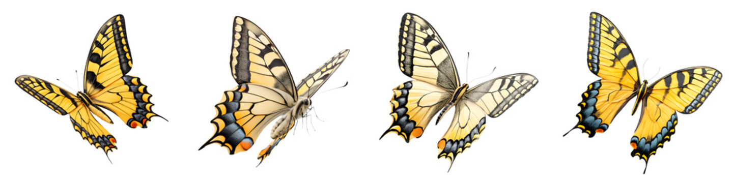 Eastern Tiger Swallowtail Butterflies Set: Watercolor, Yellow, Nature Art