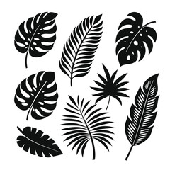 Eight tropical leaves in a stark black and white arrangement create a nature scene