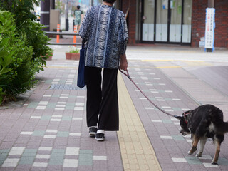 夏の高山の街で犬を連れて散歩するシニア女性の姿