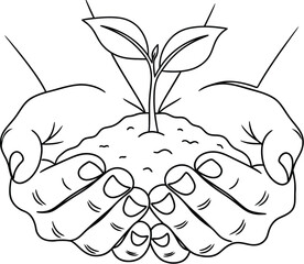 Illustration of hands holding a seedling isolated on white background
