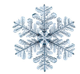 Exquisite macro photograph of a delicate snowflake with intricate crystalline structures isolated transparent background