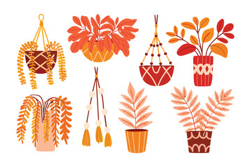 Bohemian Plant Display: A vibrant assortment of hand-drawn potted plants and hanging planters, showcasing a touch of bohemian charm with detailed illustrations of lush foliage.