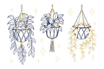 Hanging Plants Illustration: Artistic sketch showcasing an array of vibrant, potted hanging plants, adding a touch of nature's elegance to the interior decor. 
