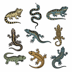 Reptiles collection: lizards and snake stylized artwork