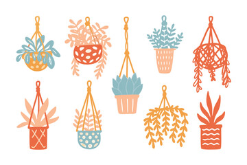 Decorative Potted Plants Illustration: A collection of colorful potted plants with various leaf shapes, sizes and styles, arranged in different patterned hanging planters.