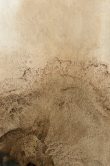 Autentic Brown Watercolor Texture. Painted Abstract Background