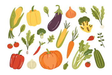 Vibrant Vegetable Variety: A colorful assortment of freshly picked vegetables, arranged to showcase the diversity and health benefits of plant-based cuisine.