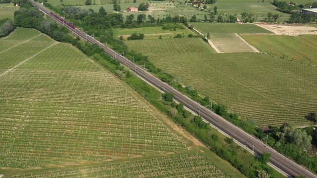  A red high-speed train smoothly travels through lush vineyards, captured in a breathtaking aerial perspective.