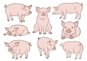 ブタのイラストセット（カラー）