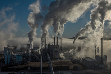 Pulp Mill in Jackson, Alabama