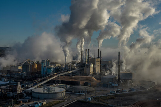 Pulp Mill in Jackson, Alabama