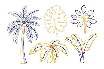 Tropical Plant Illustration: Artistic outlines of exotic plants bring a touch of nature's beauty. Emphasizing botanical shapes, the illustration celebrates organic forms and intricate textures.