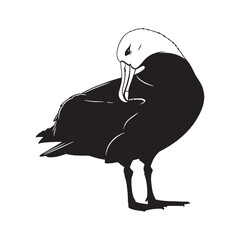 Minimalist Albatross Silhouette – Albatross Vector Graphic with Crisp Feather Detail – Bird Silhouette – Black Vector of Albatross

