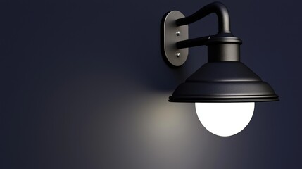 A black wall lamp with a white bulb.