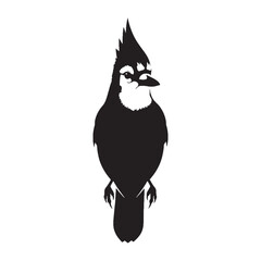 Graceful Blue Jay Silhouette – Blue Jay Vector Artwork Depicting Elegant Bird Build – Blue Jay Illustration – Bird Silhouette – Silhouette of Blue Jay

